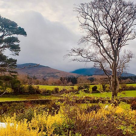 Bryansford Cottage Esterno foto