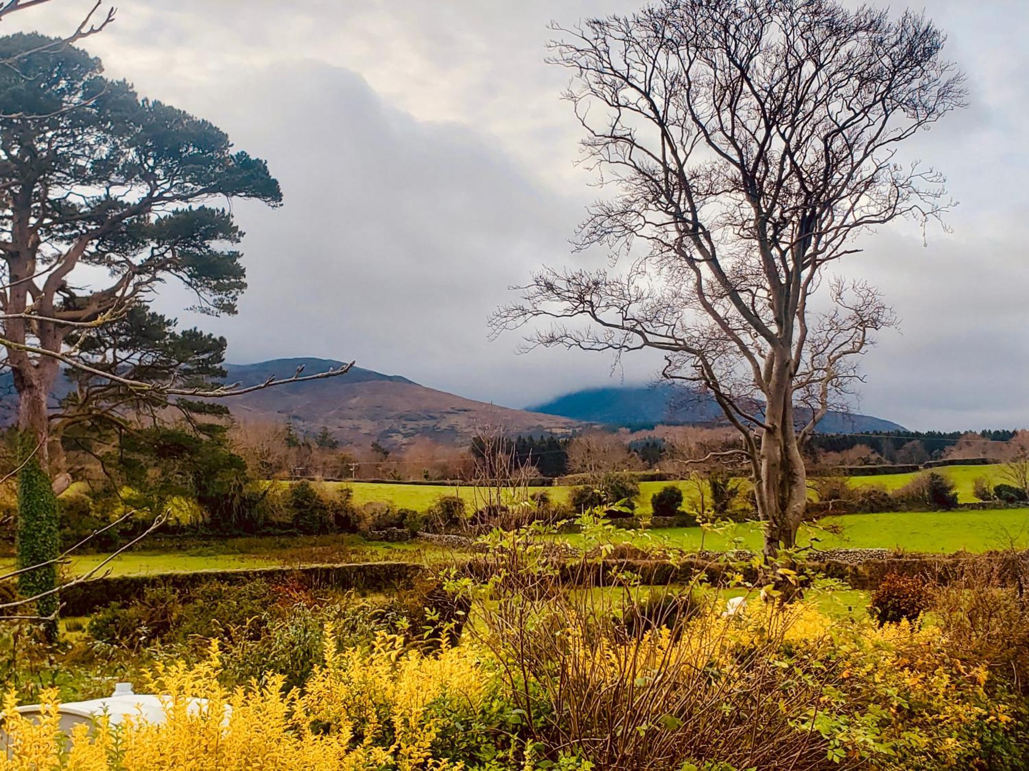 Bryansford Cottage Esterno foto